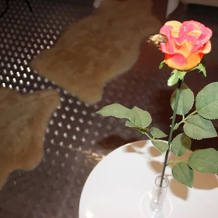 펜션 Odysseos St. Loft 바티